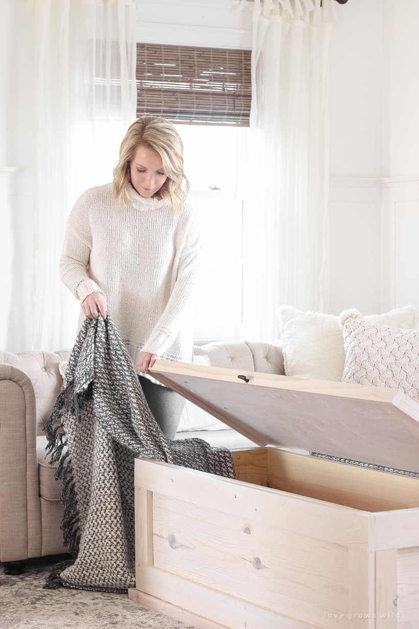 DIY Storage Trunk