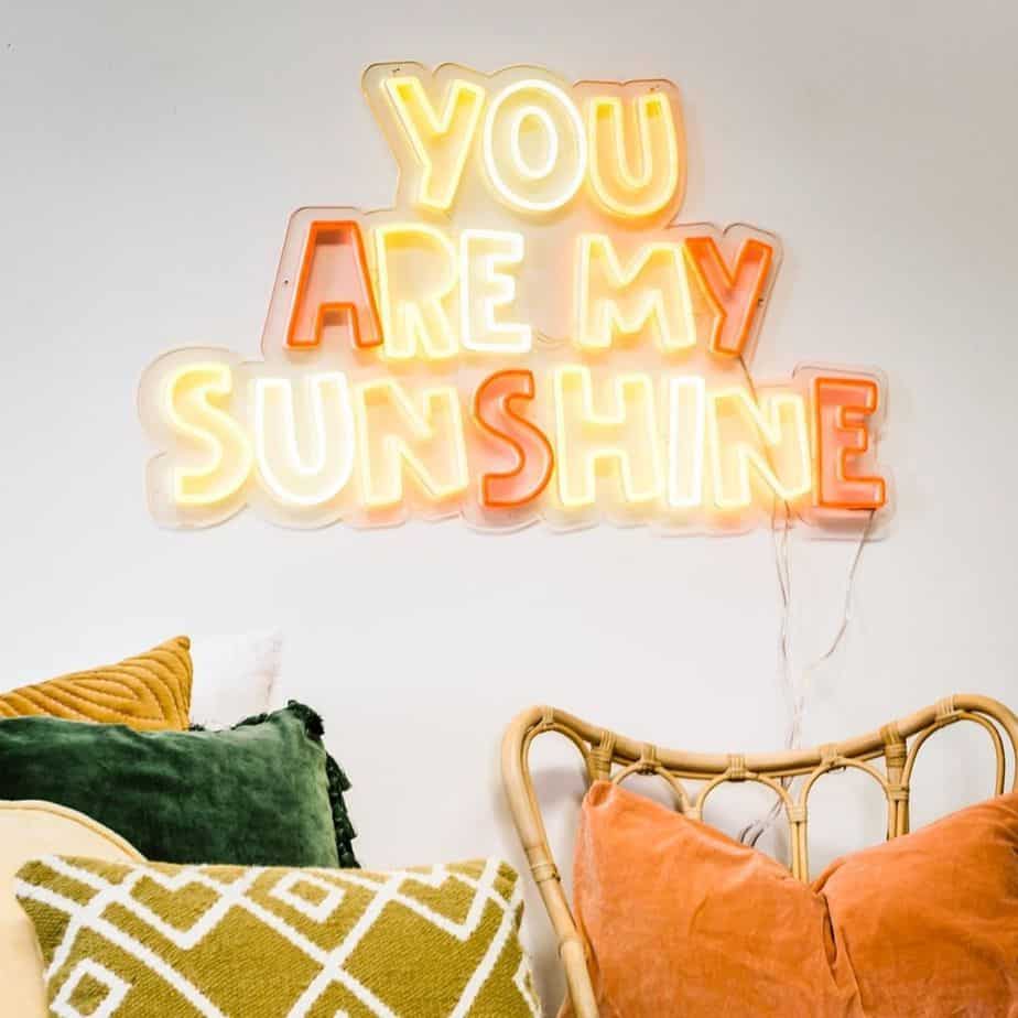 you are my sunshine neon light