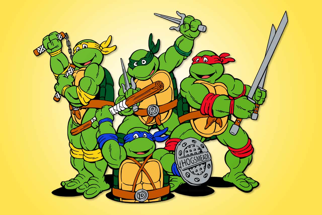 Ninja Turtles Bedroom Ideas