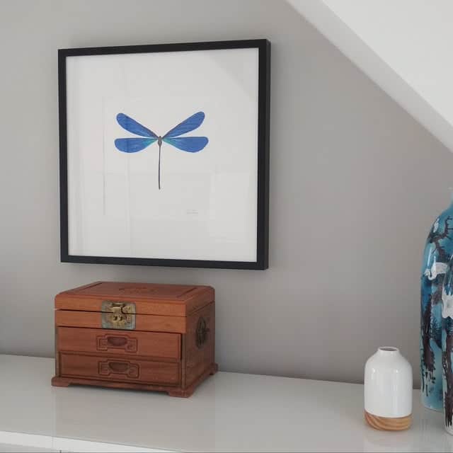 dragonfly art