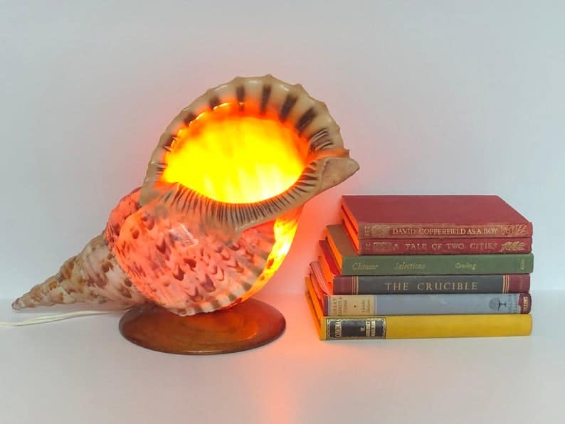 Conch Lamp