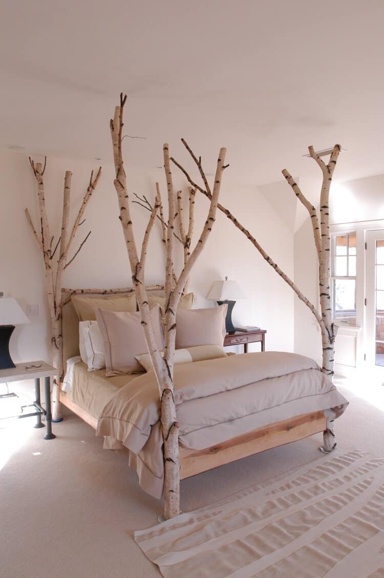 birch tree bed