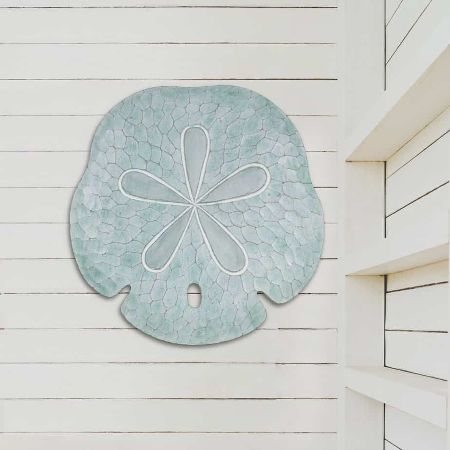 sand dollar wall decor