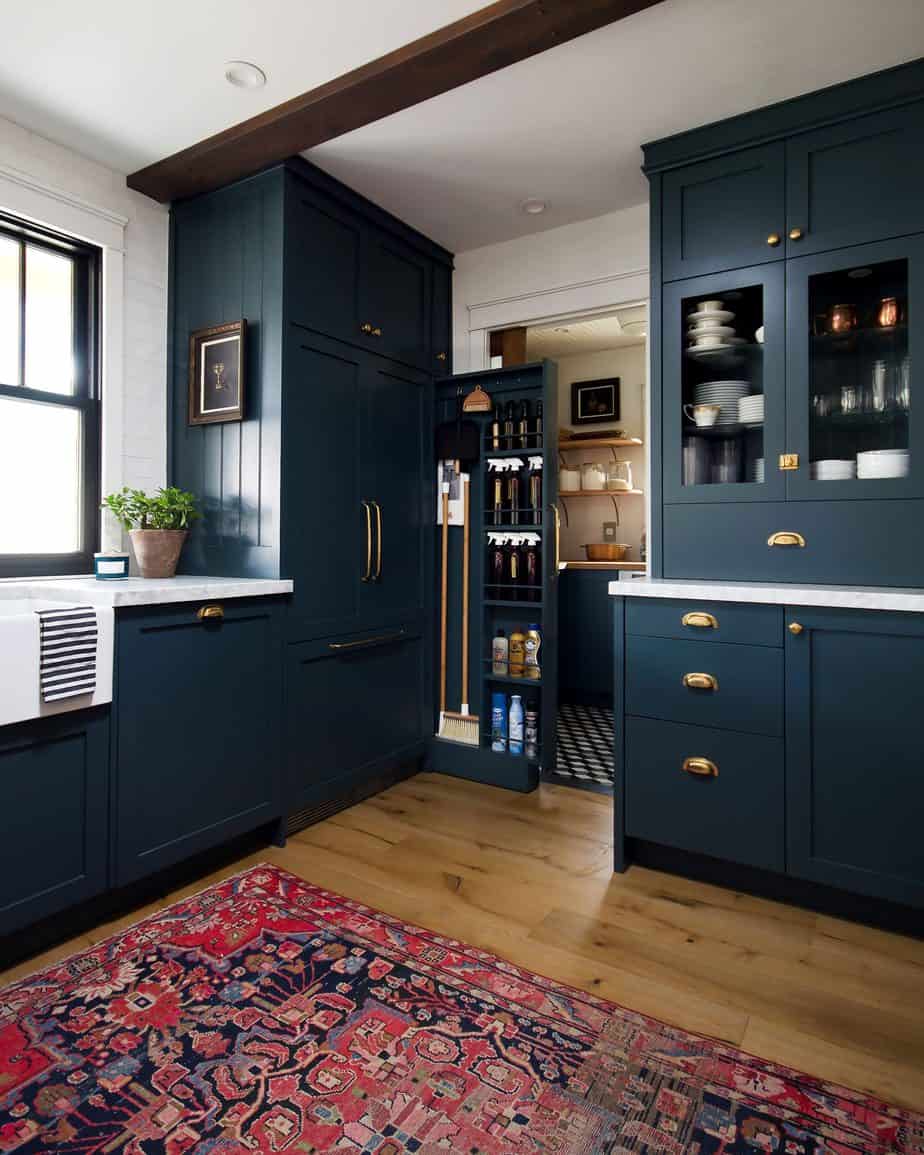 Blue Kitchen With Appliance Panels