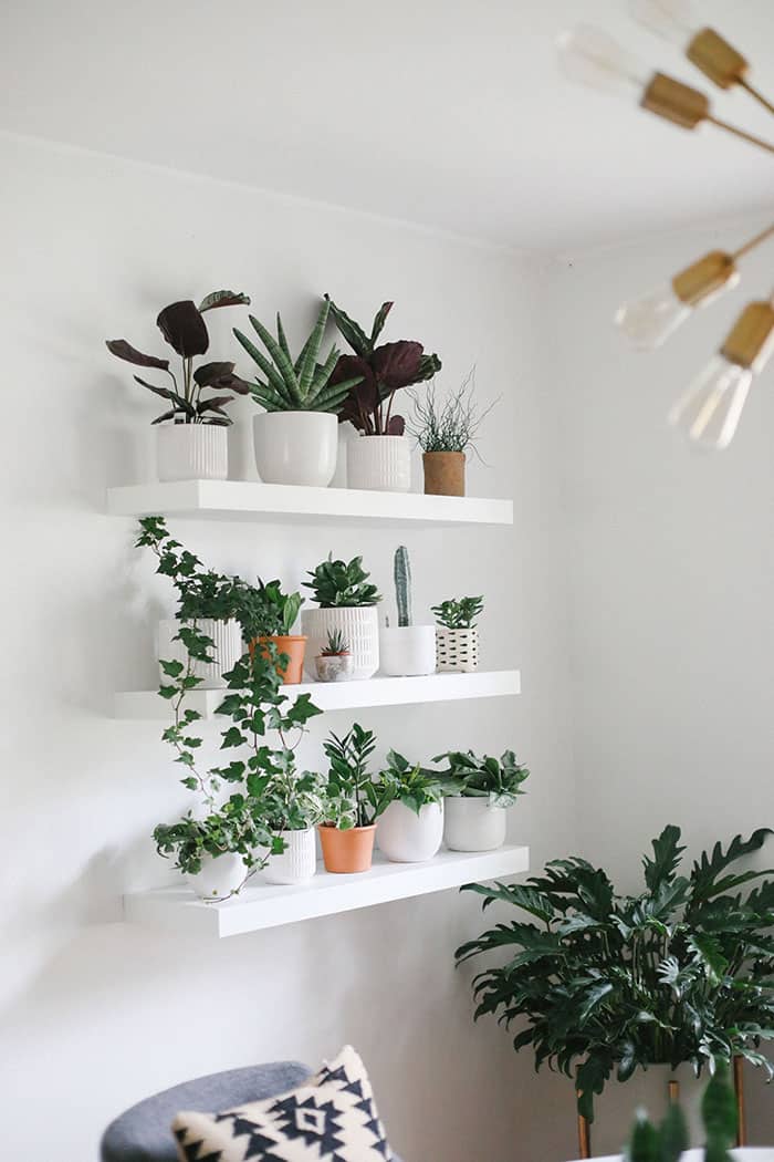 14. Open Shelving For Plants And Decorative Items