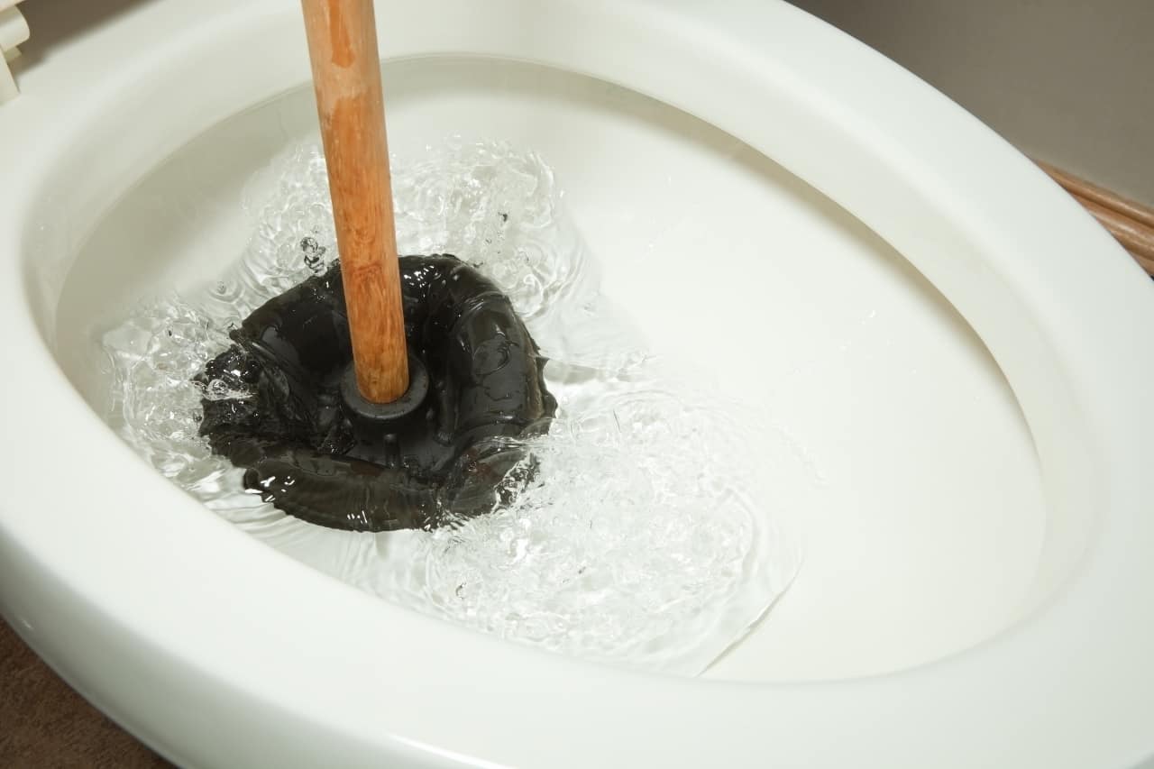 Common Toilet Clog Issues