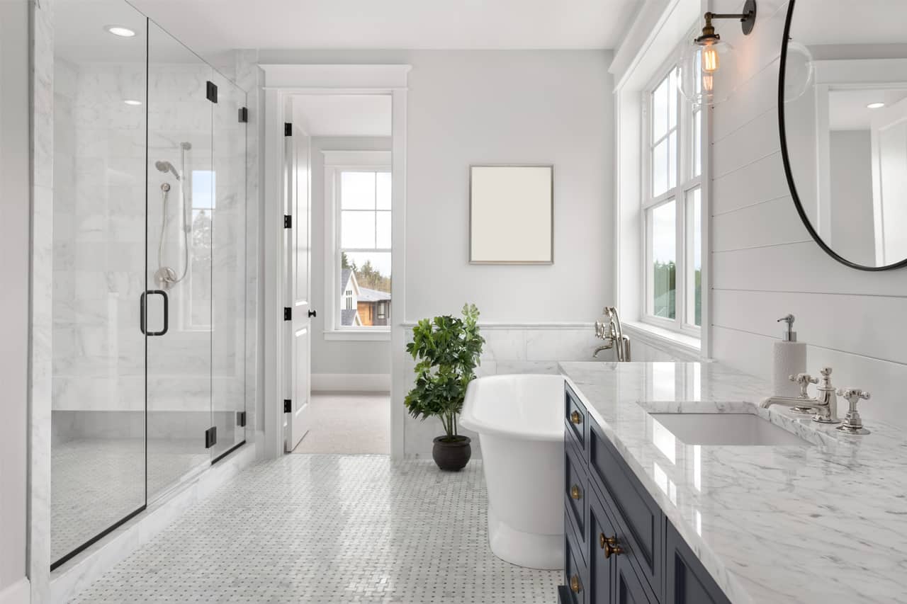 Master Bathroom Ideas