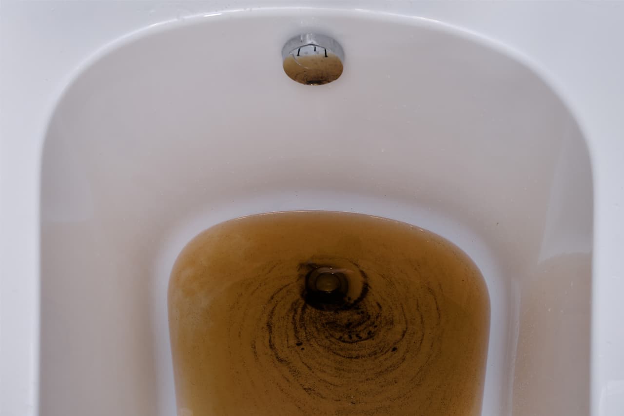 Toilet Backing Up Into Shower
