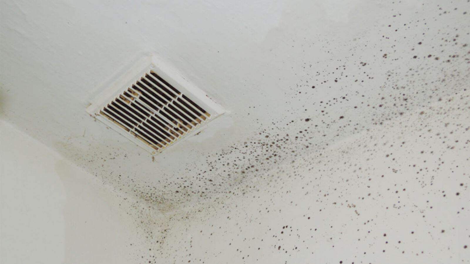 mold in bathroom