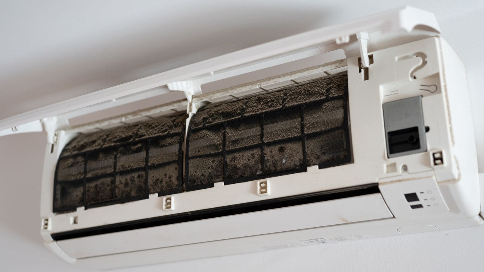 mold on ac