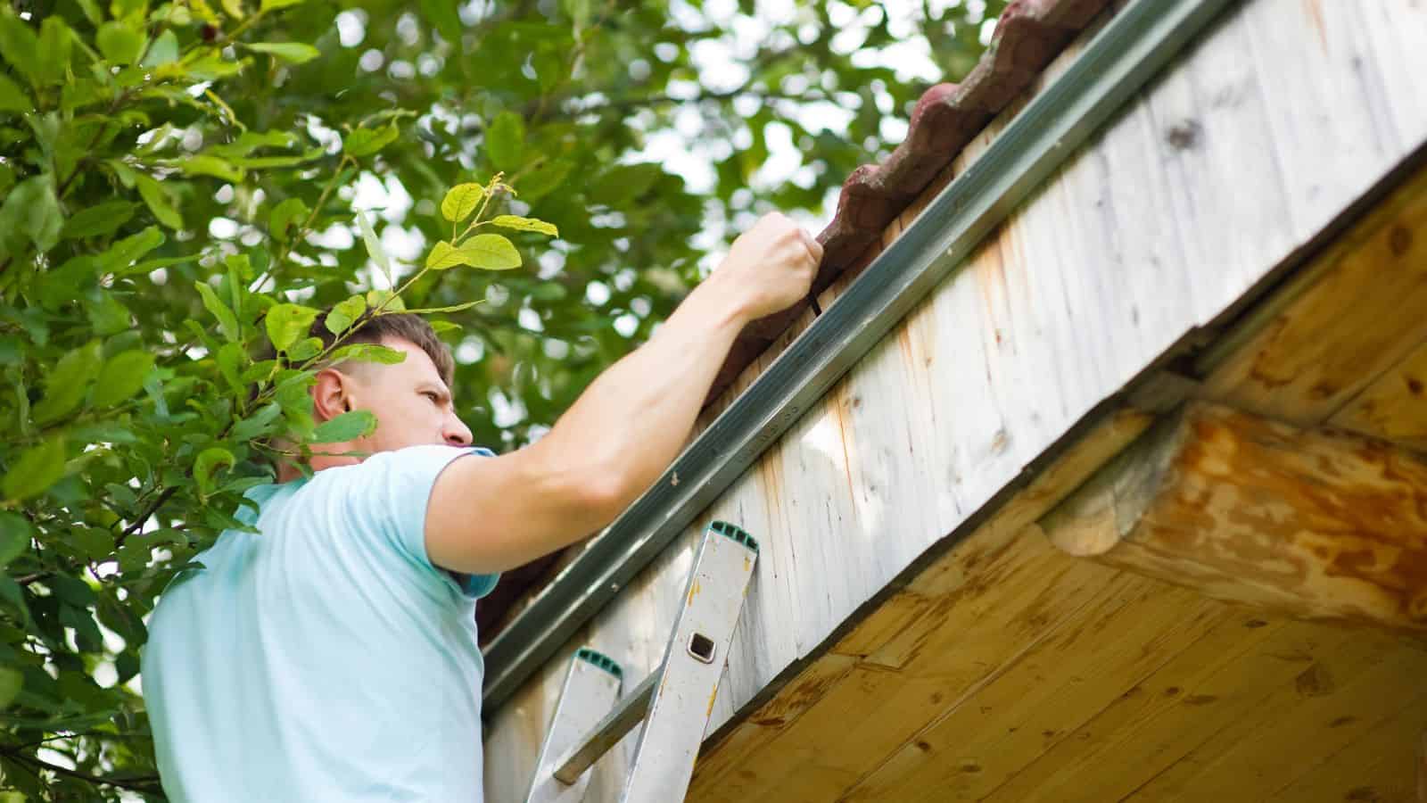 checking for holes and leaks on roof
