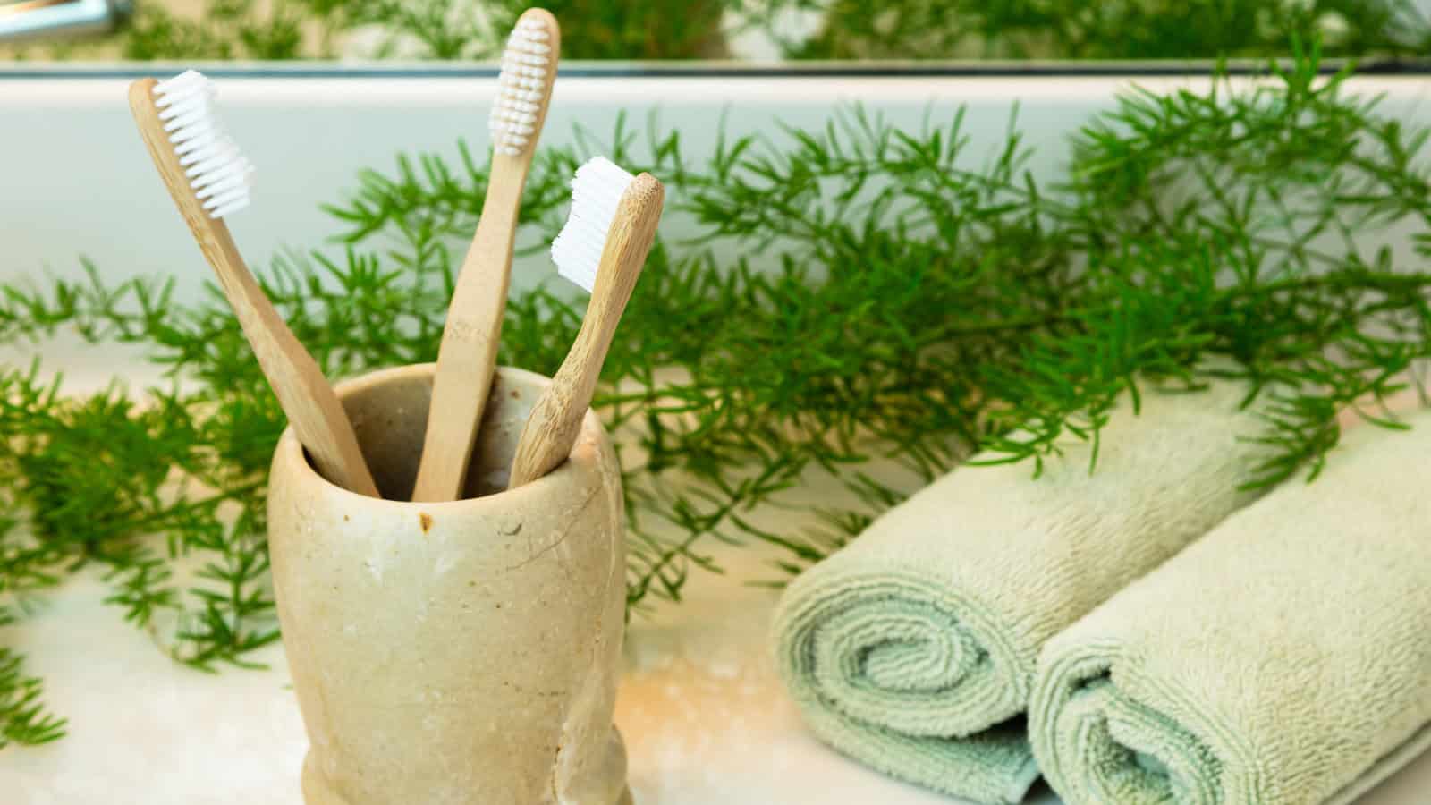 use a bamboo toothbrush