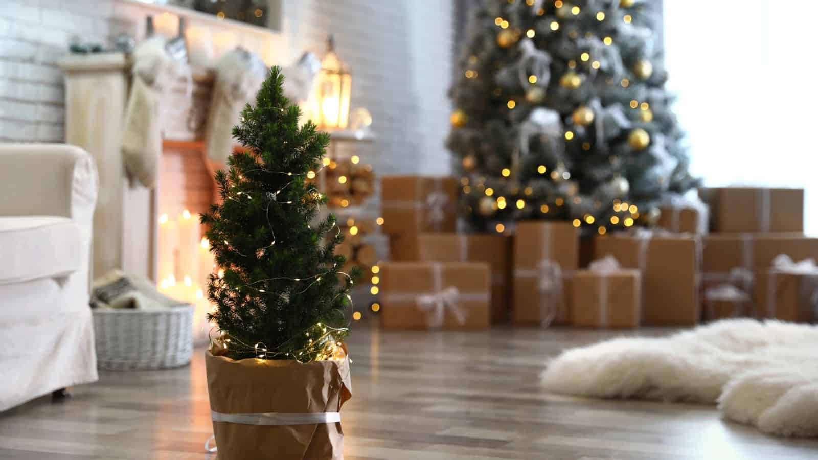 Potted Christmas tree with fairy lights in stylish room interior