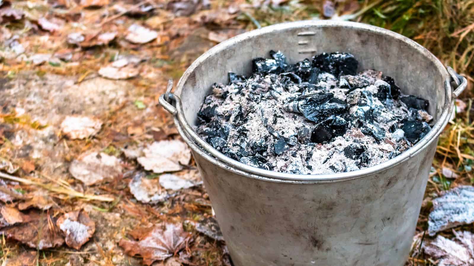 wood ash as a natural fertilizer