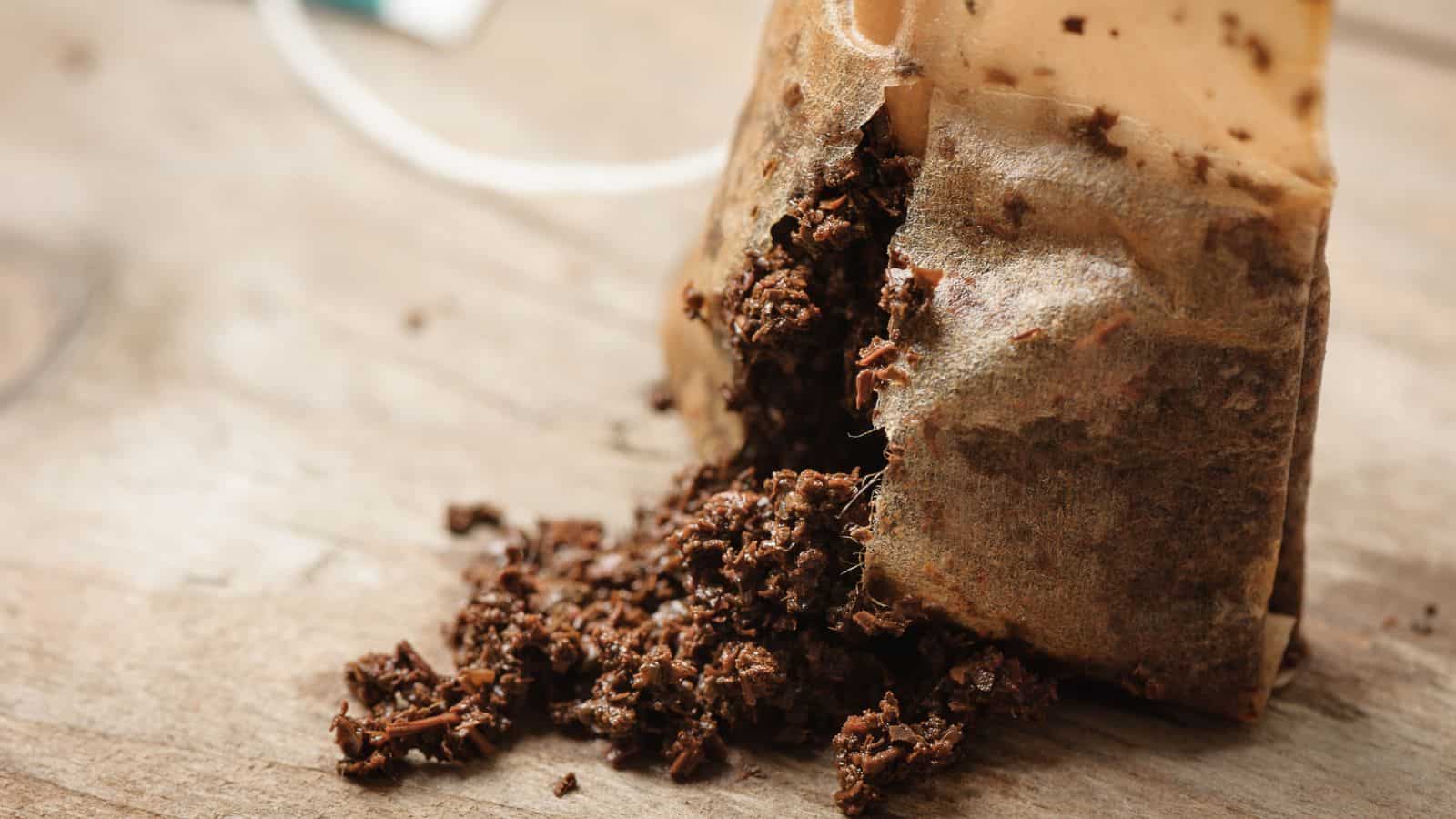 used tea bags 