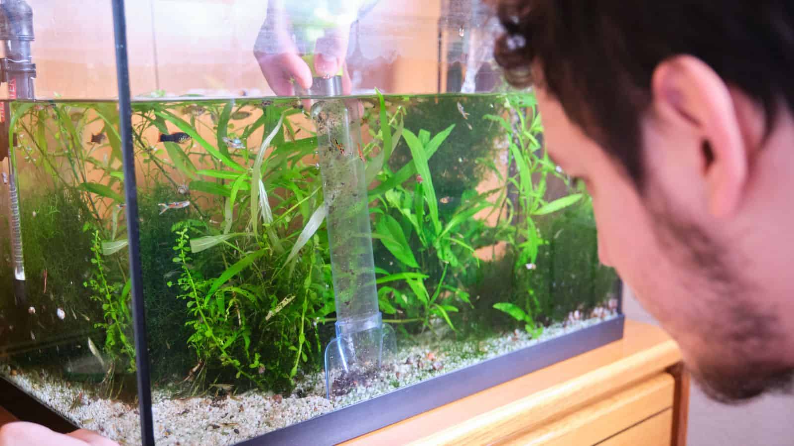 aquarium water is nutrient rich for plants