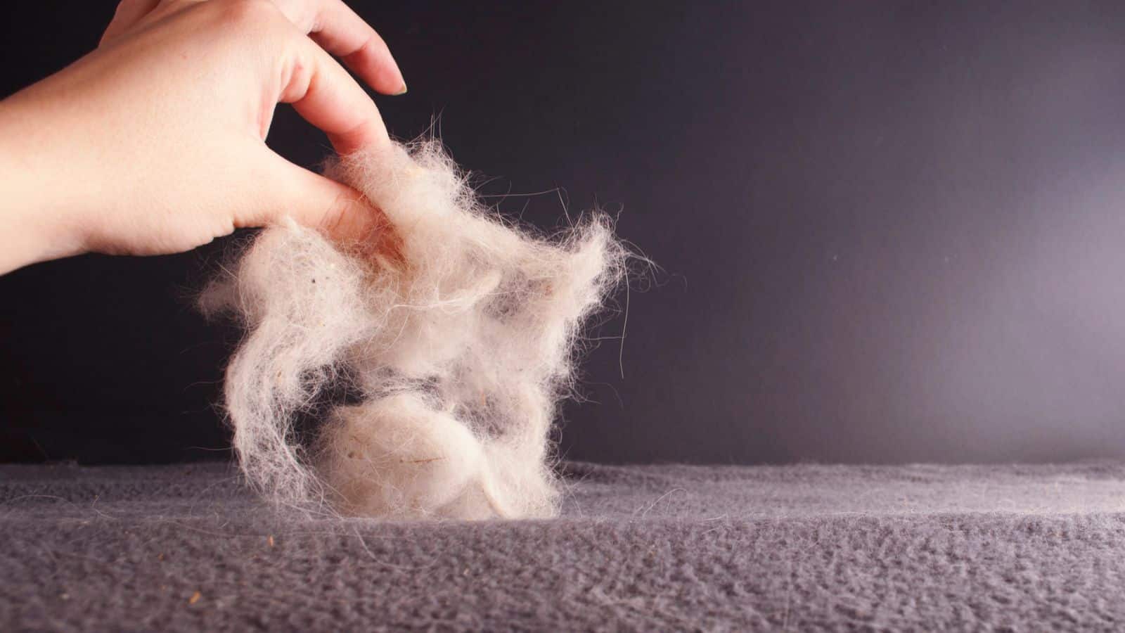 hair as a natural fertilizer