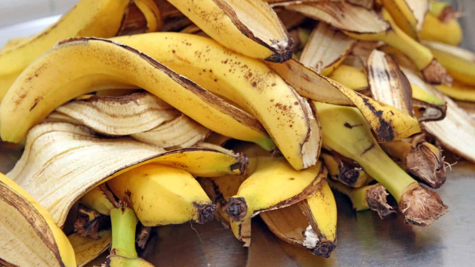 banana peel as a natural fertilizer