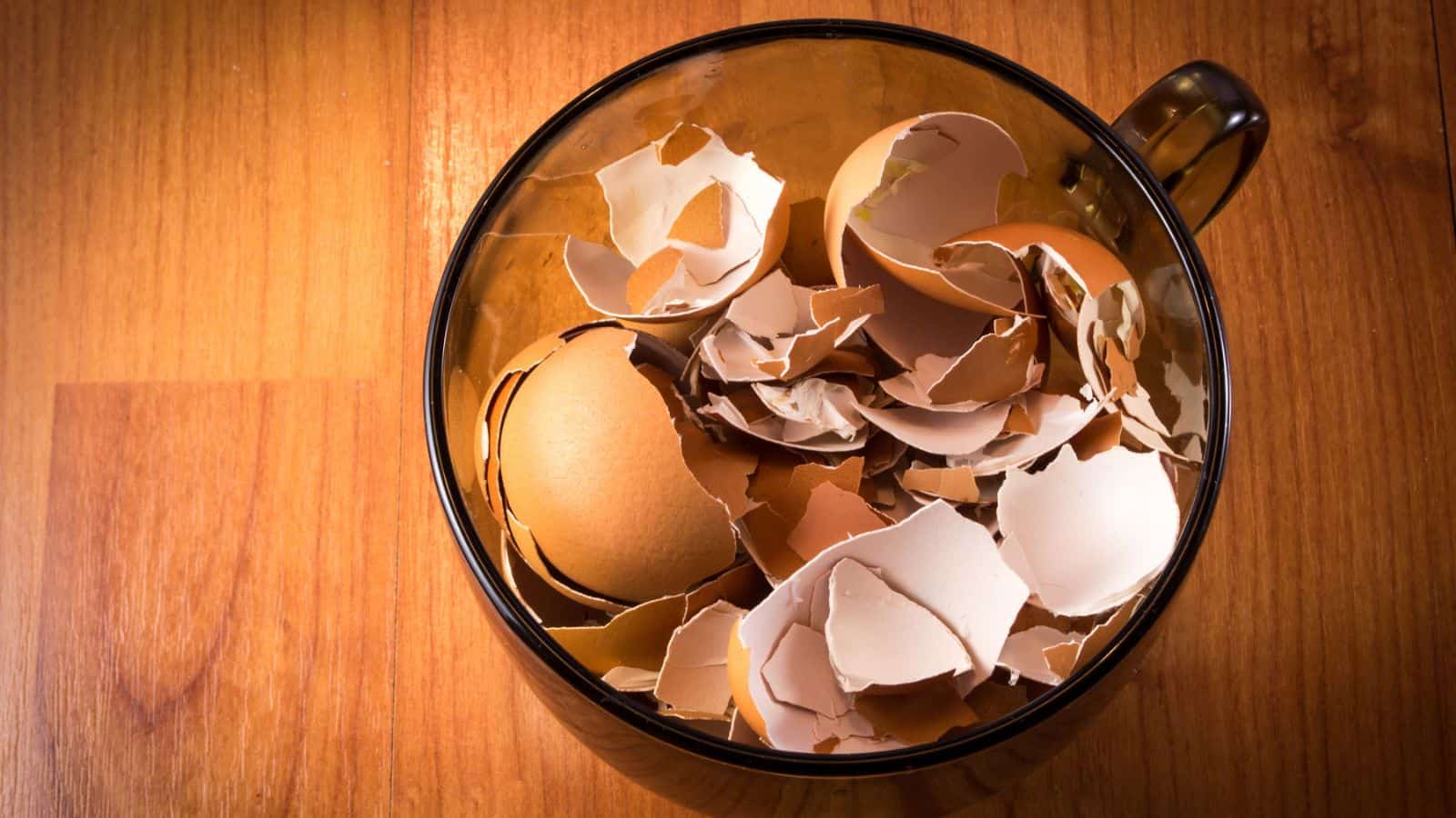 eggshells as a natural fertilizer