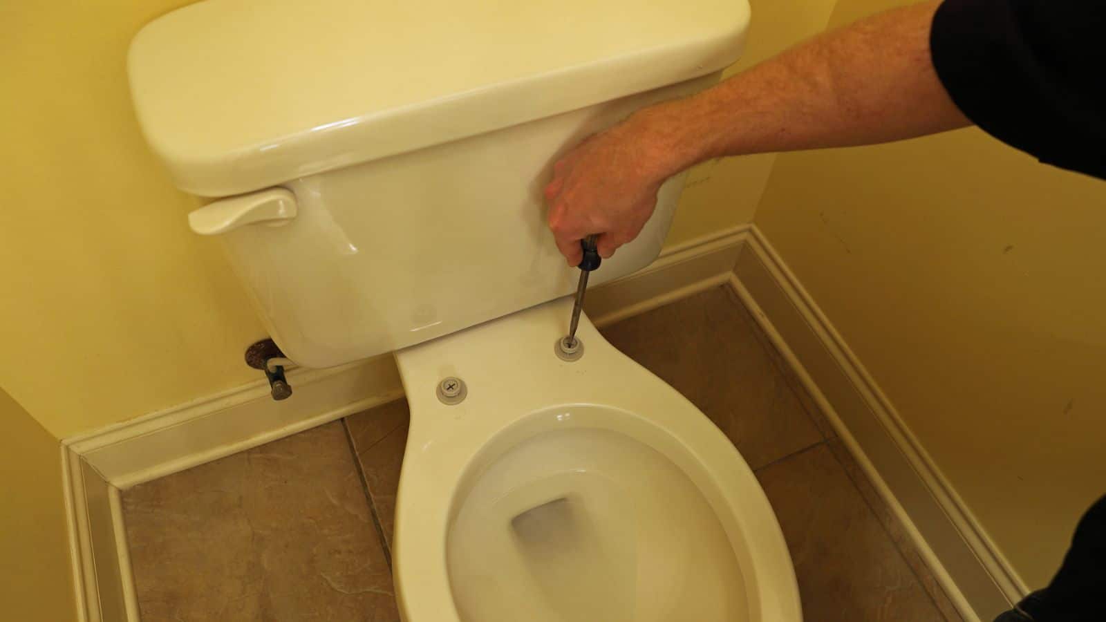 Plumber installing screws to replace new seat on toilet in home bathroom
