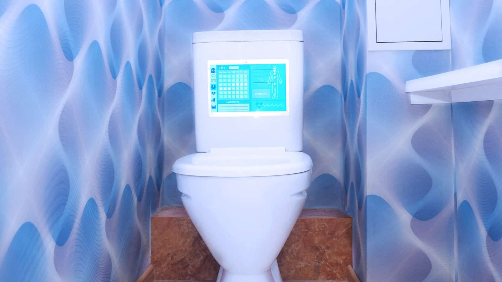 smart toilet seat