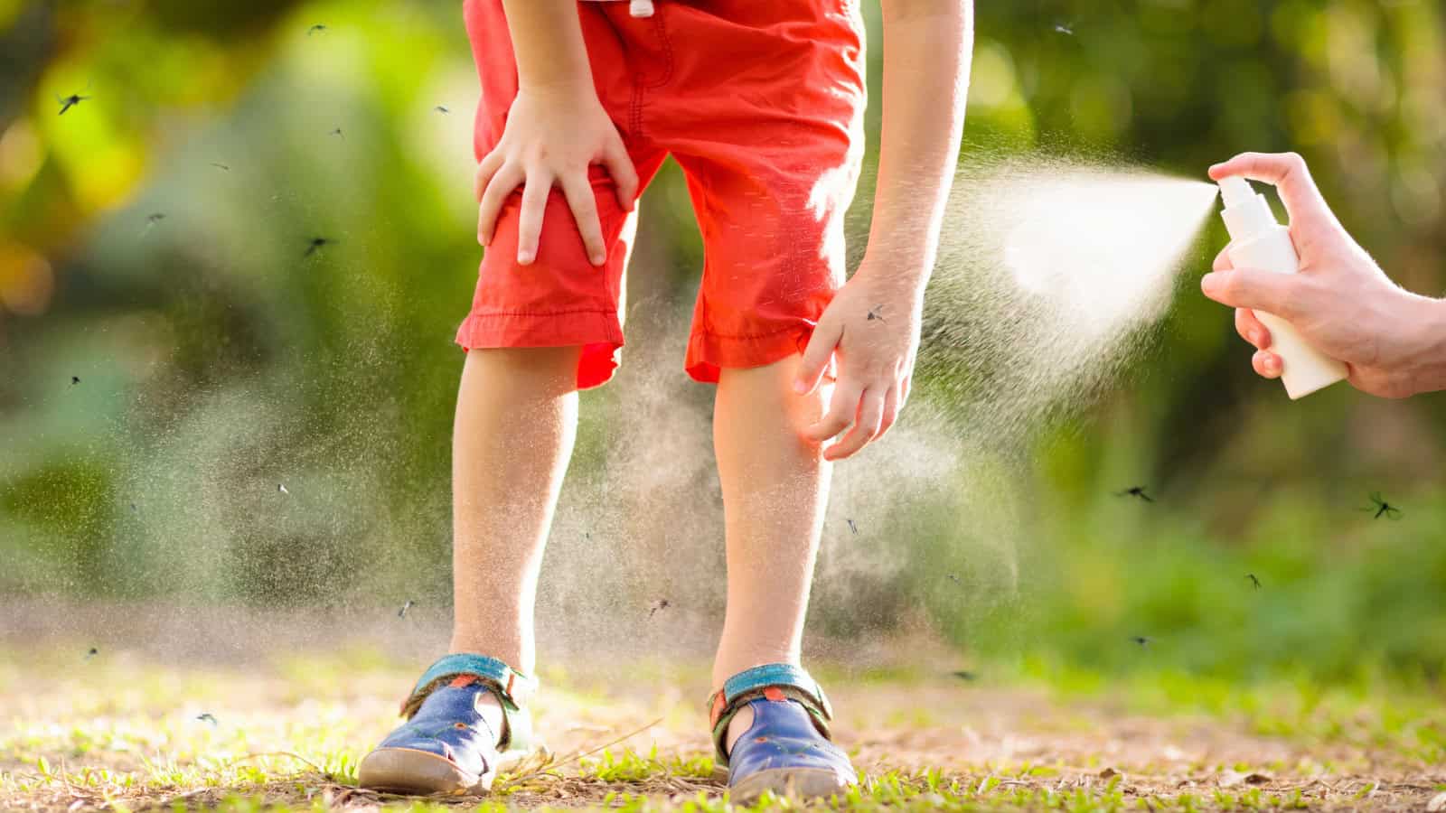 protect against insects