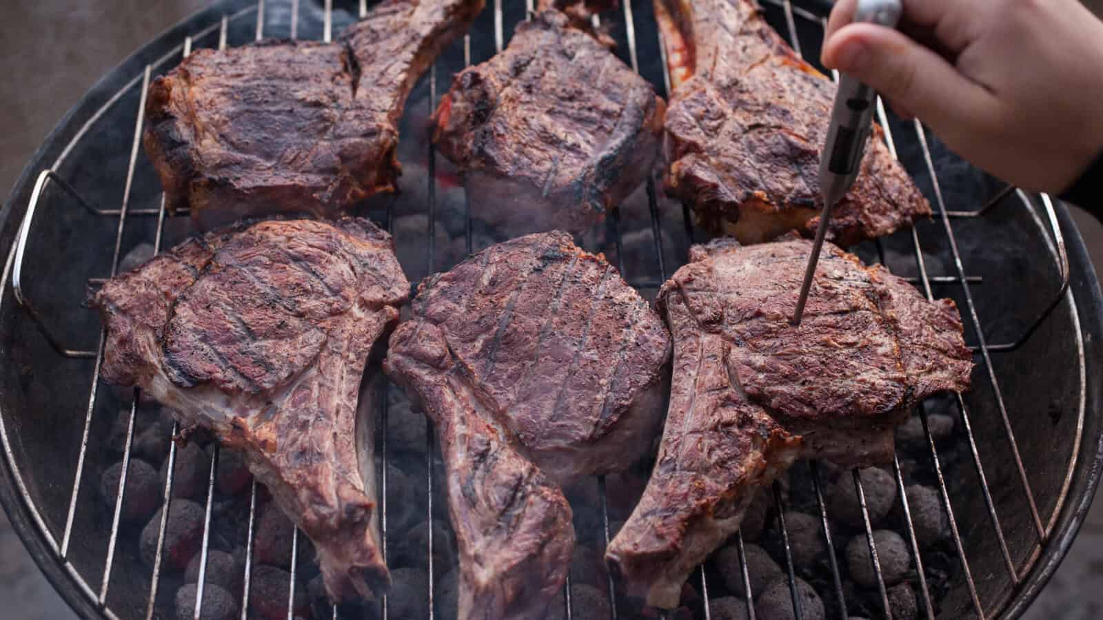 meat thermometer