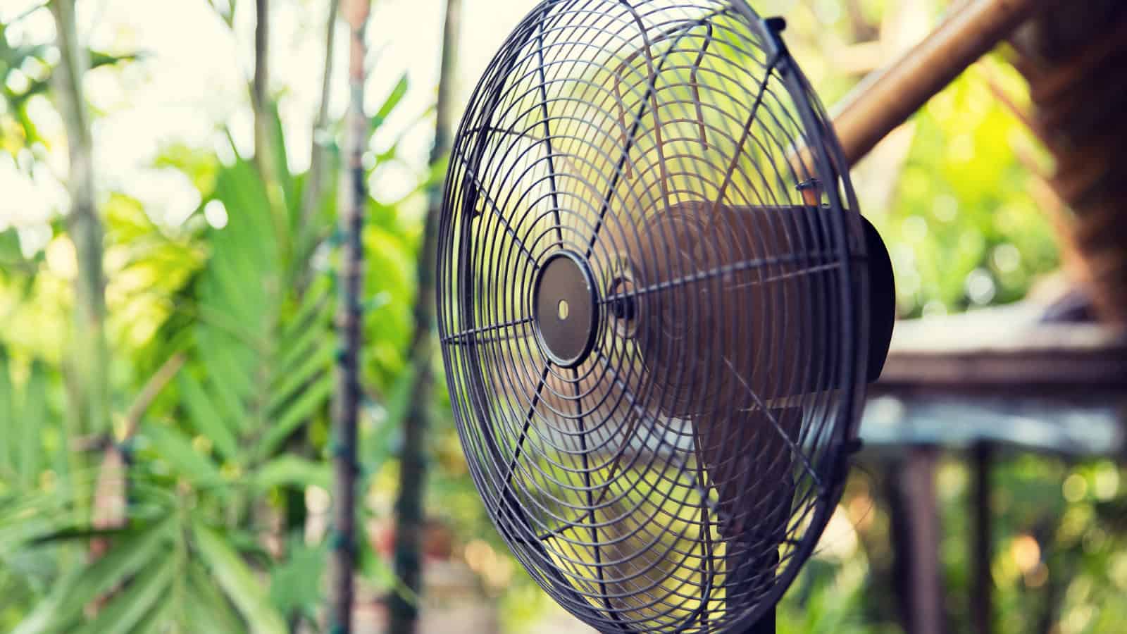 get fans