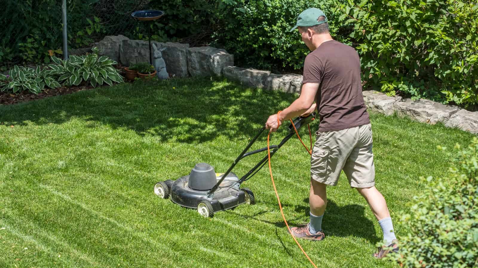 mow the lawn