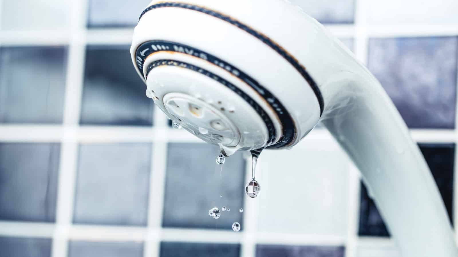 things you can wash in a dishwasher - shower head