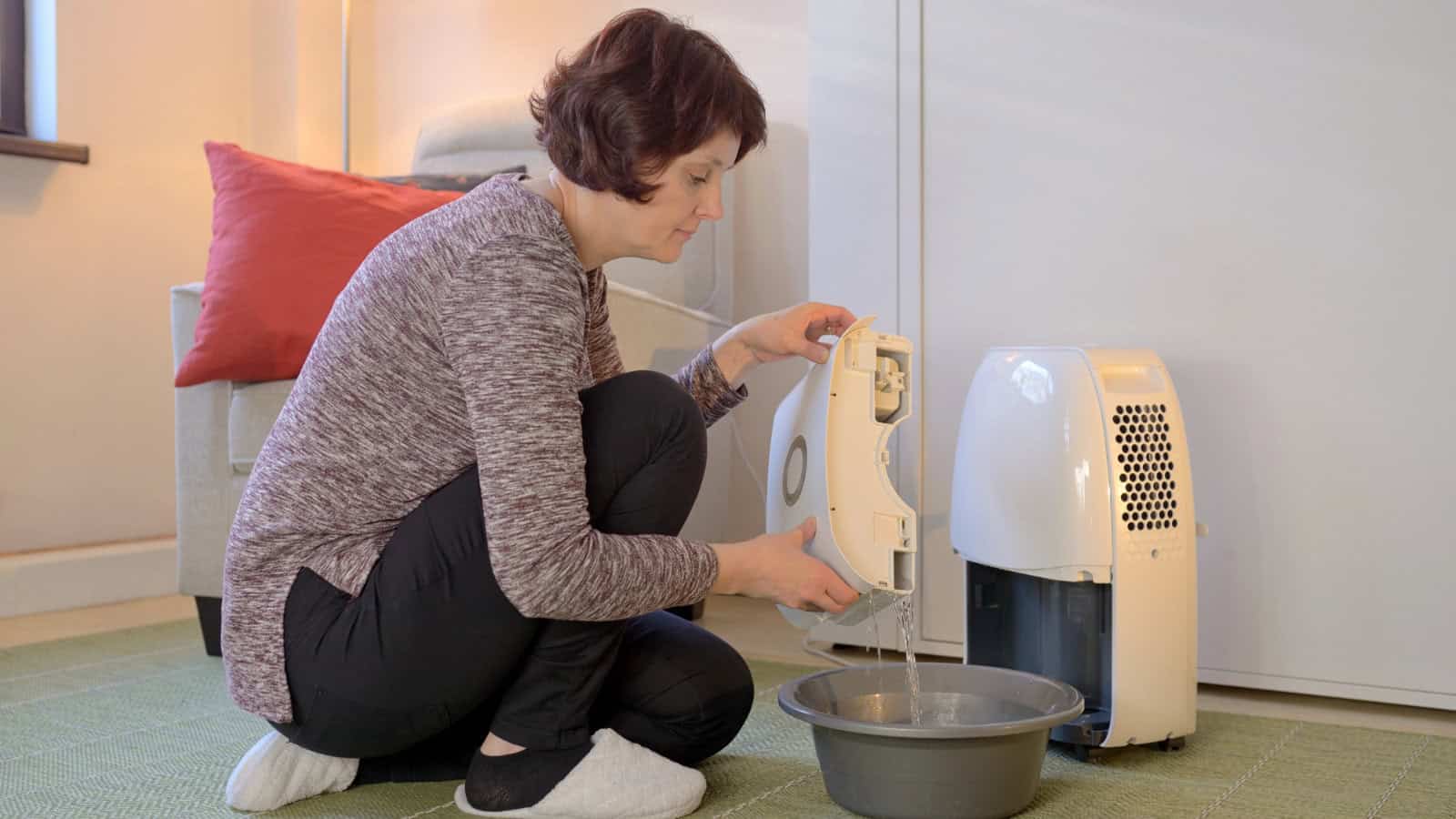 empty humidifier