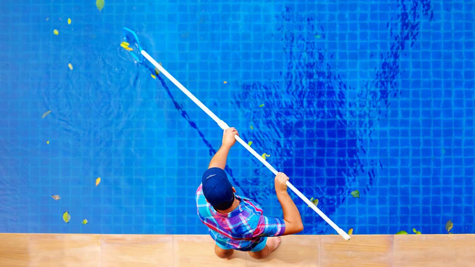 clean the pool