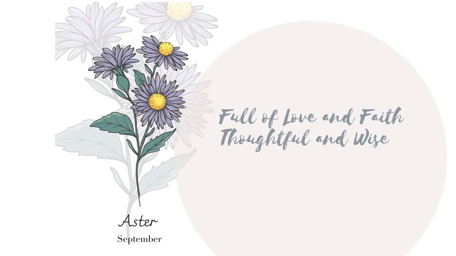 Birth Month Flower - September - Aster