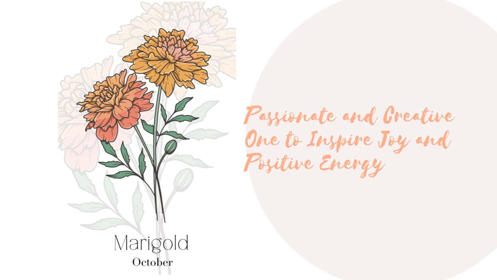 Birth Month Flower - October - Marigold