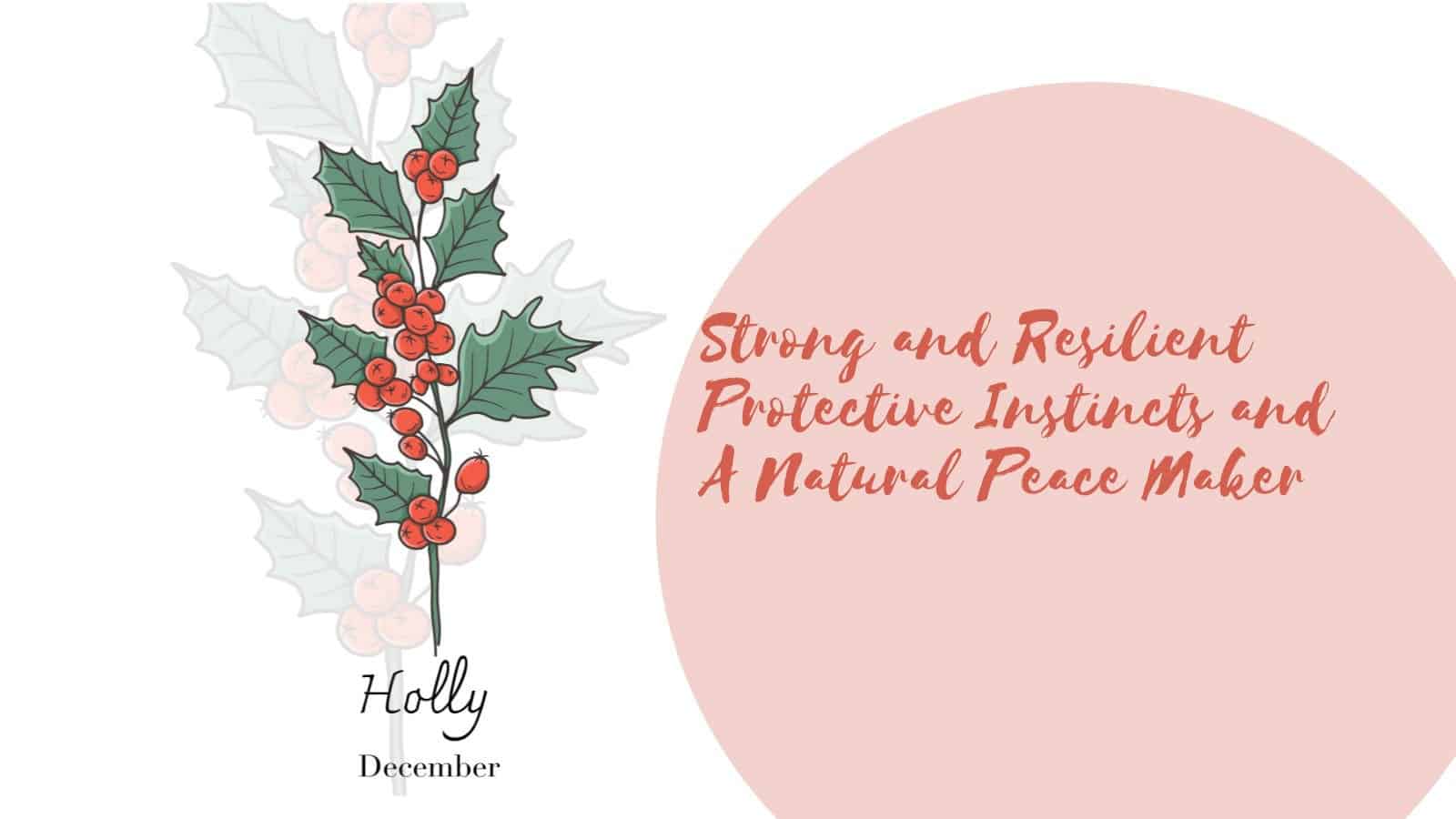 Birth Month Flower - December - Holly