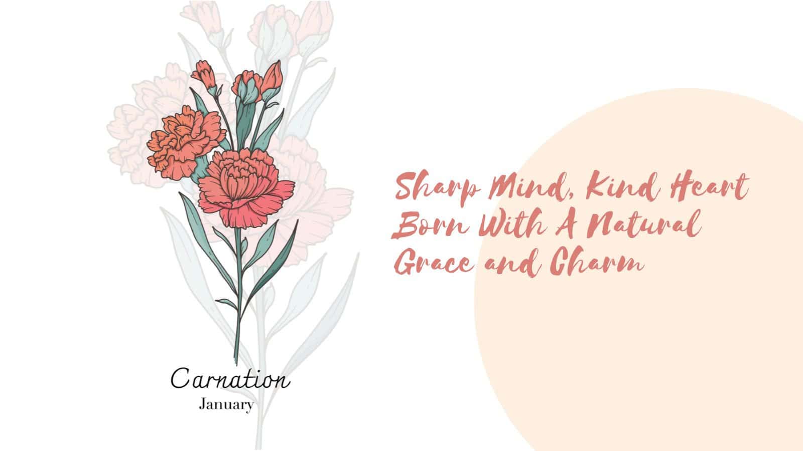 Birth Month Flower - January - Carnation