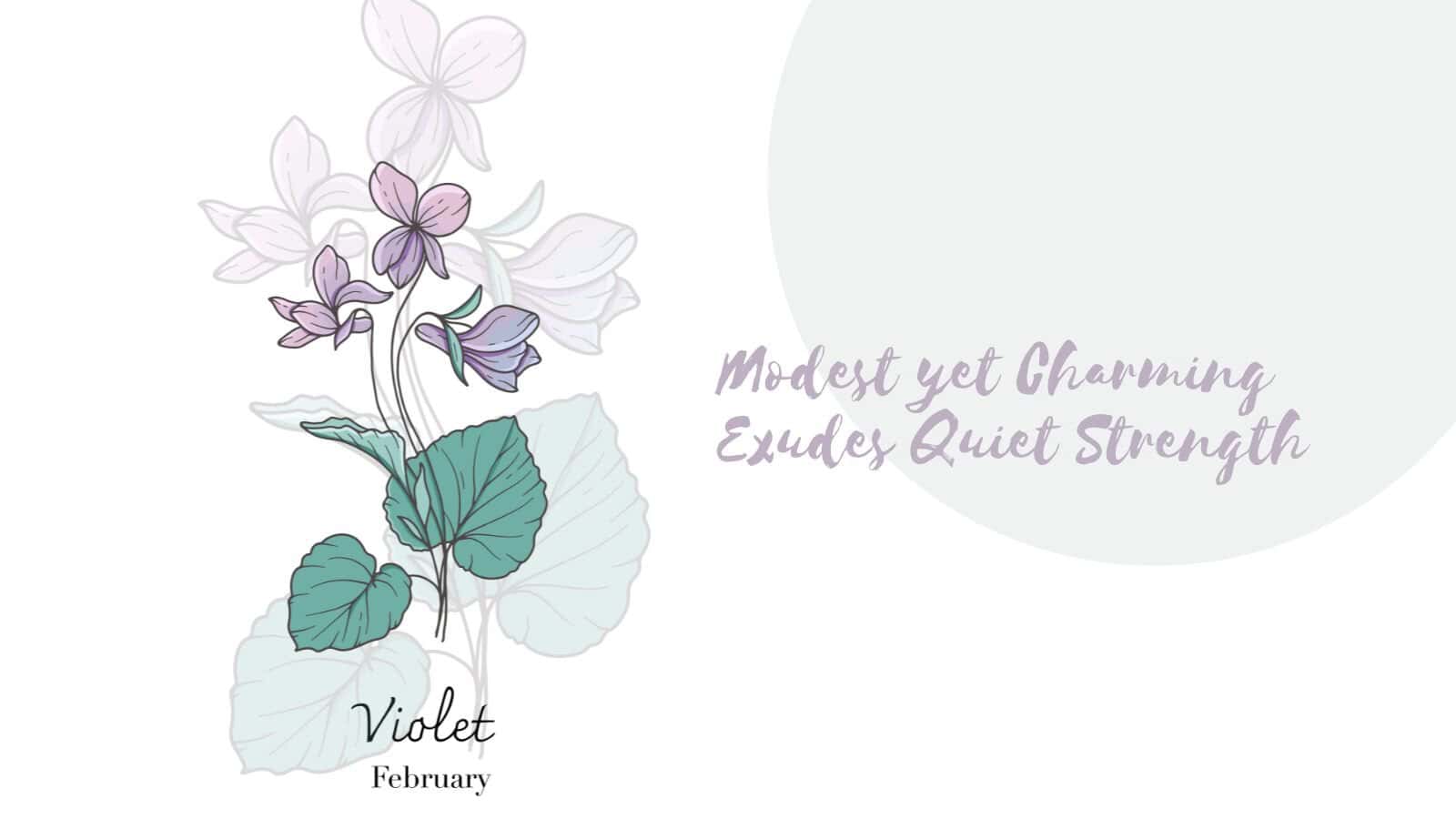 Birth Month Flower - February - Violet
