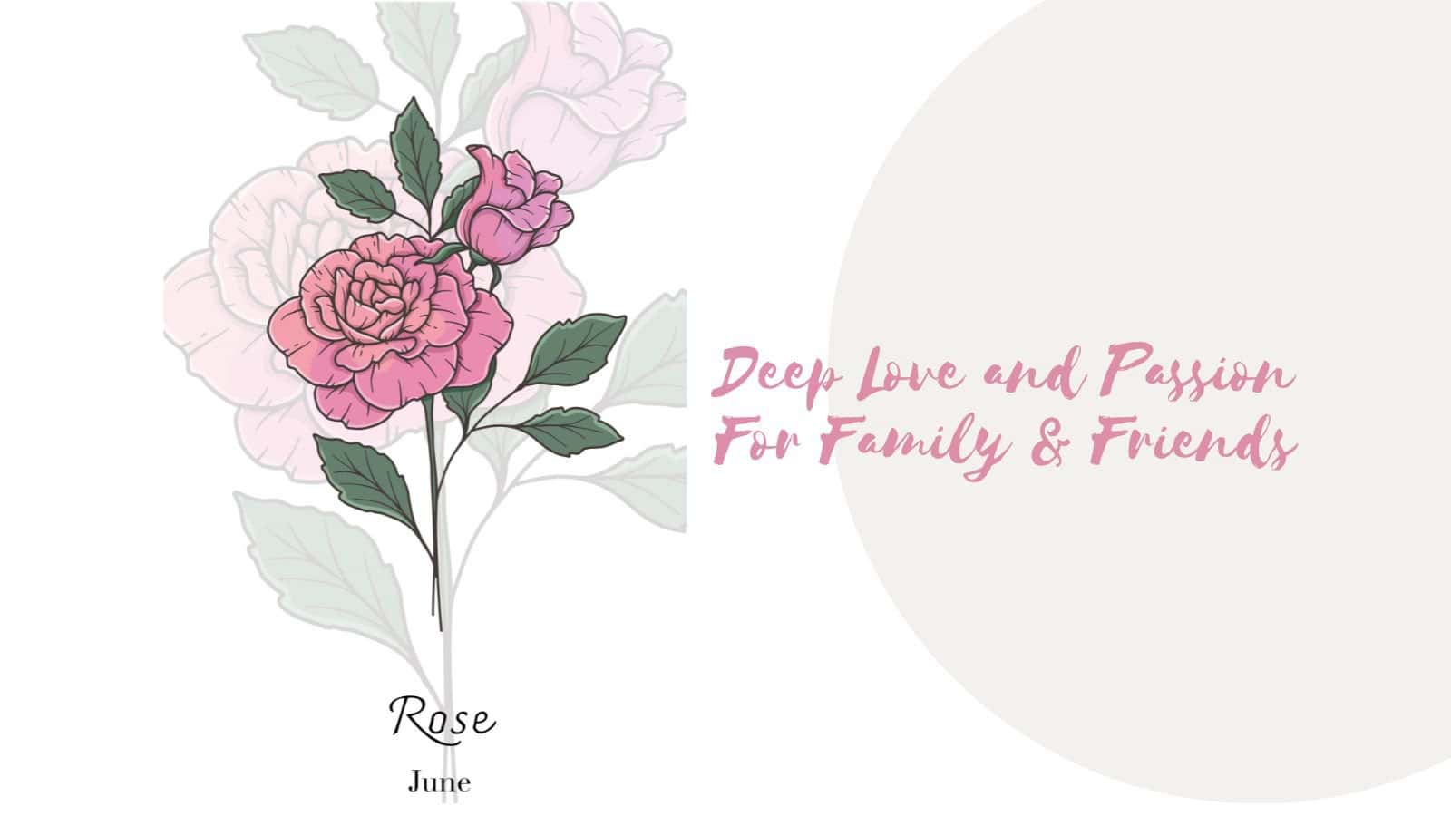 Birth Month Flower - June - Rose
