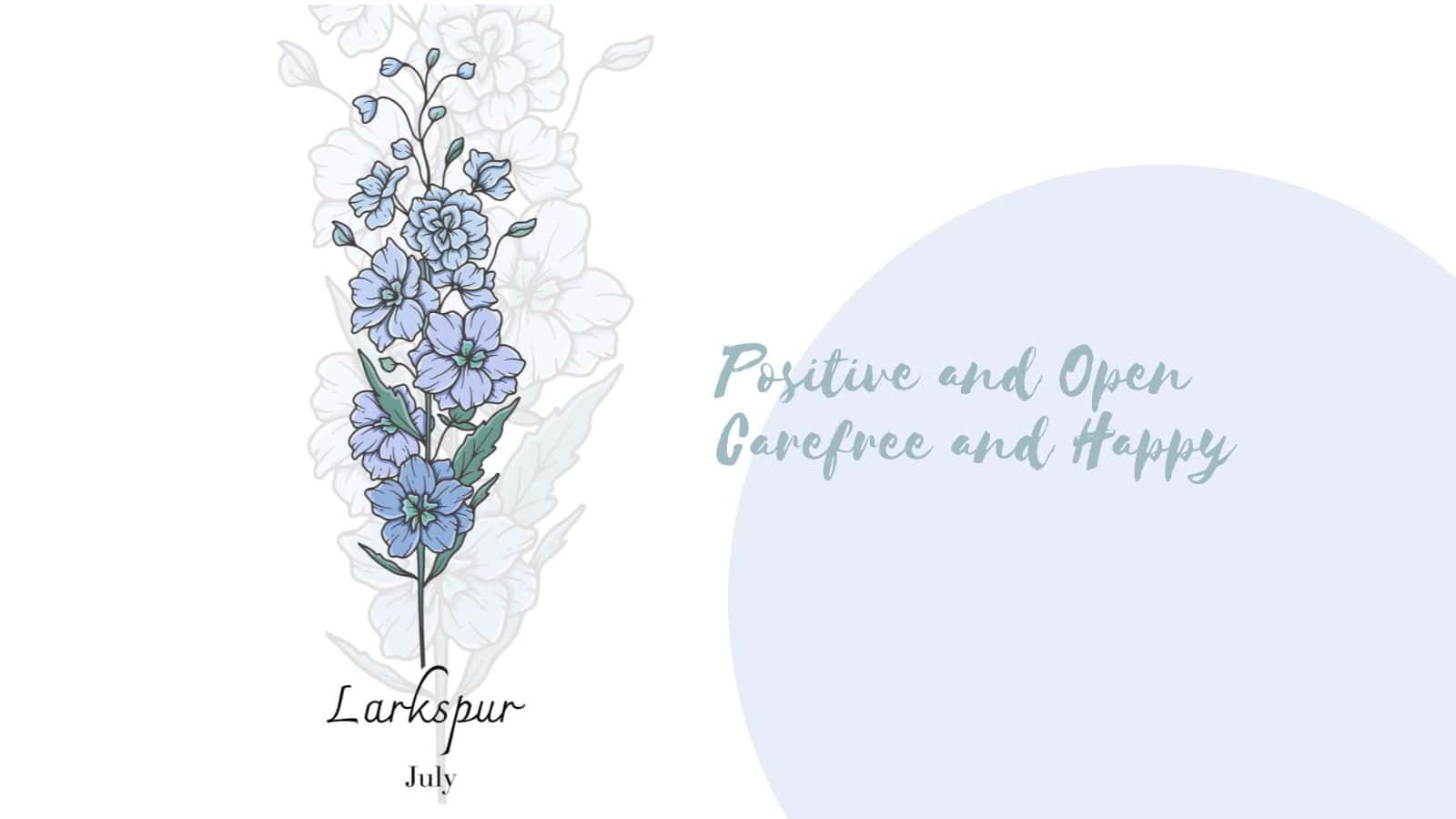 Birth Month Flower - July - Larkspur