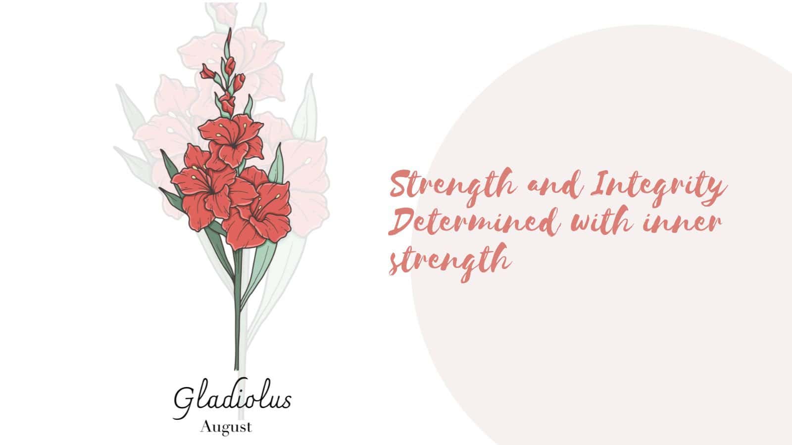 Birth Month Flower - August - Gladiolus