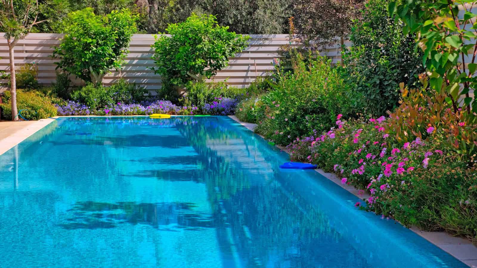 backyard oasis with pool and plants