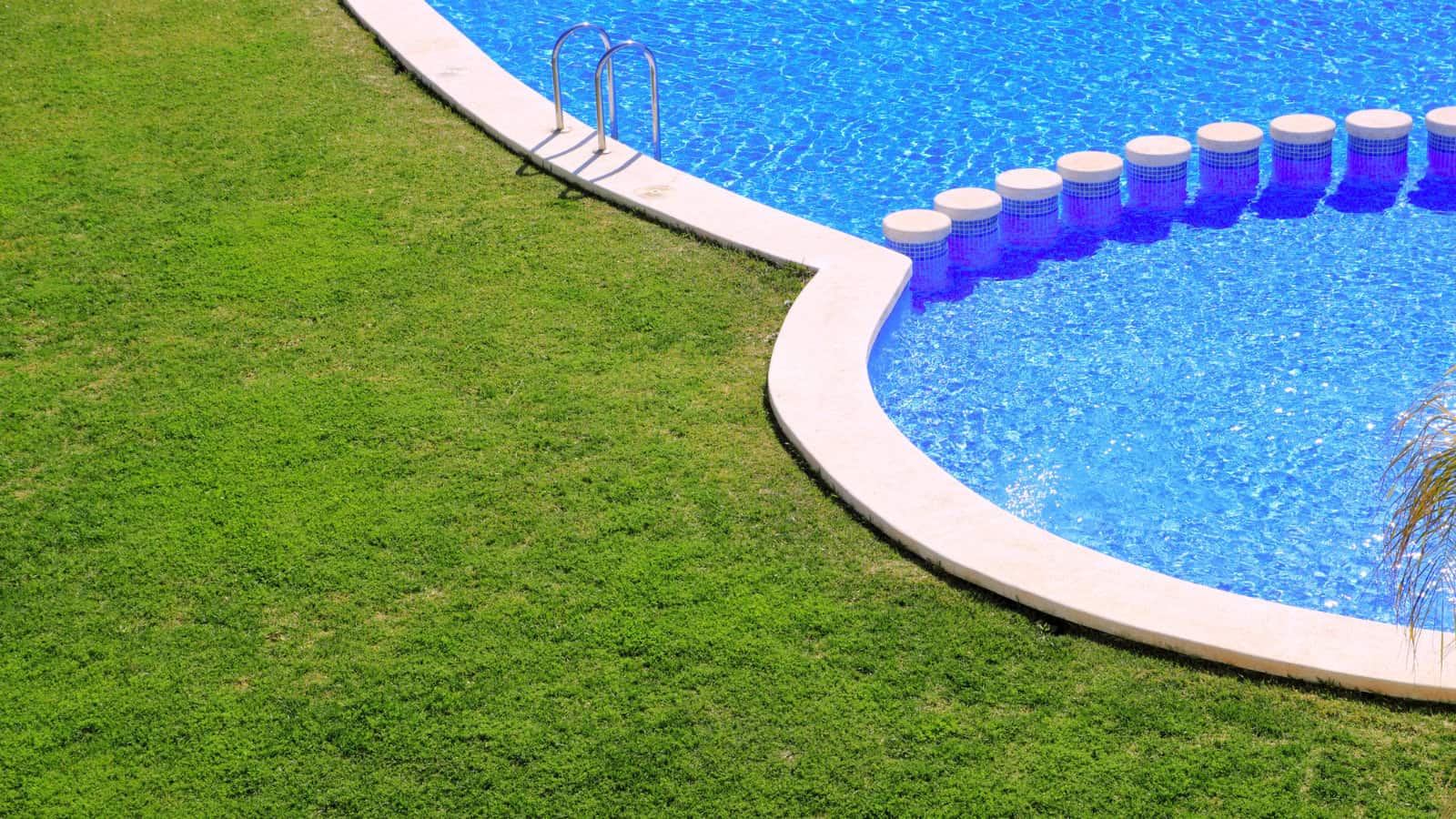 grass around pool