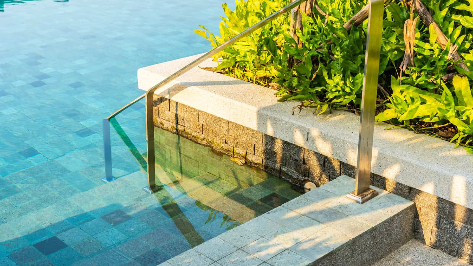 raised garden next to pool