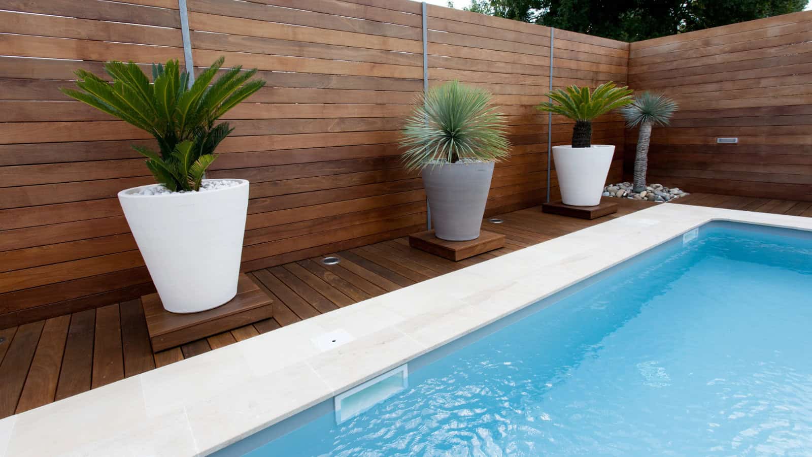 line potted plants